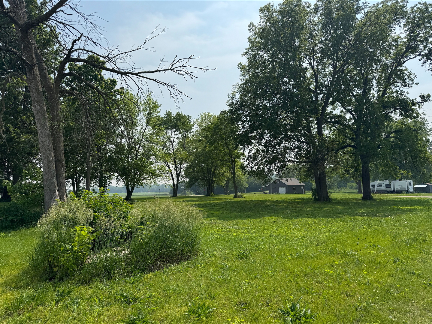 0 South Oak Street Toluca, IL 61369 - Photo 4 of 5 a big yard with lots of green space and trees