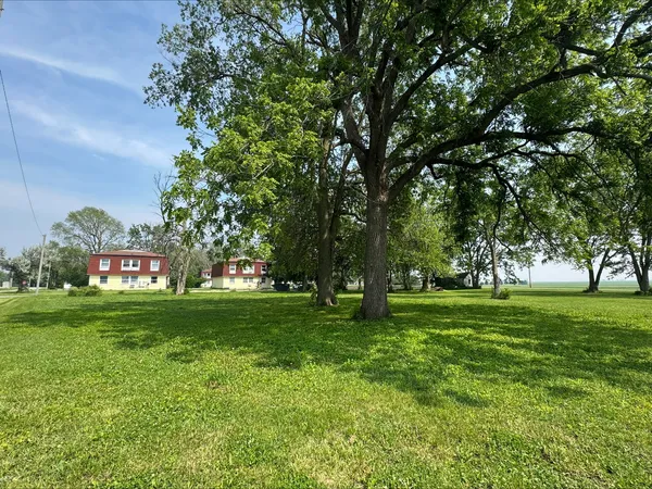 a view of a grassy field with trees