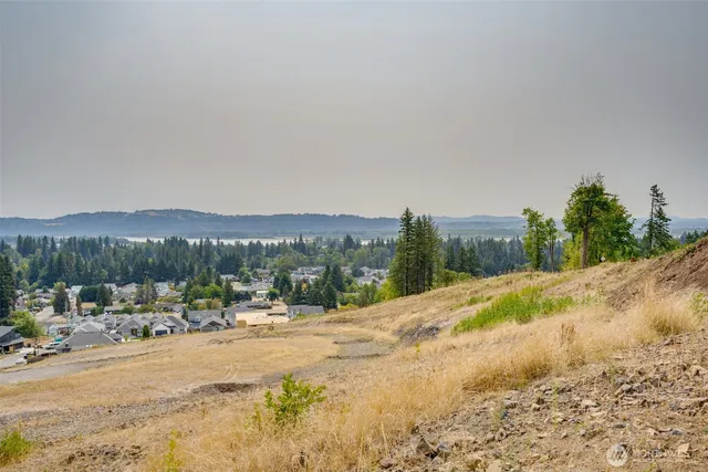 a view of a lake with a mountain