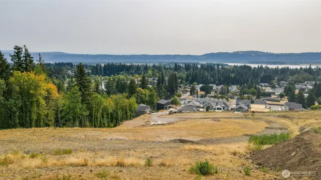a view of a road with a yard and mountain view