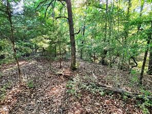 0 Timber Ridge Larue, TX 75770 - Photo 4 of 25