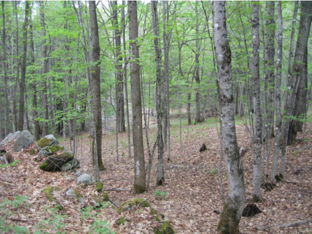 15 Harts Road Topsham, VT 05076 - Photo 12 of 20
