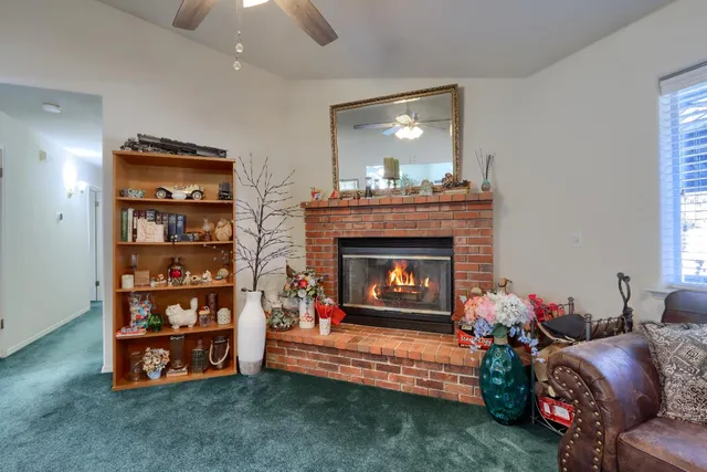a view of a yard with trees