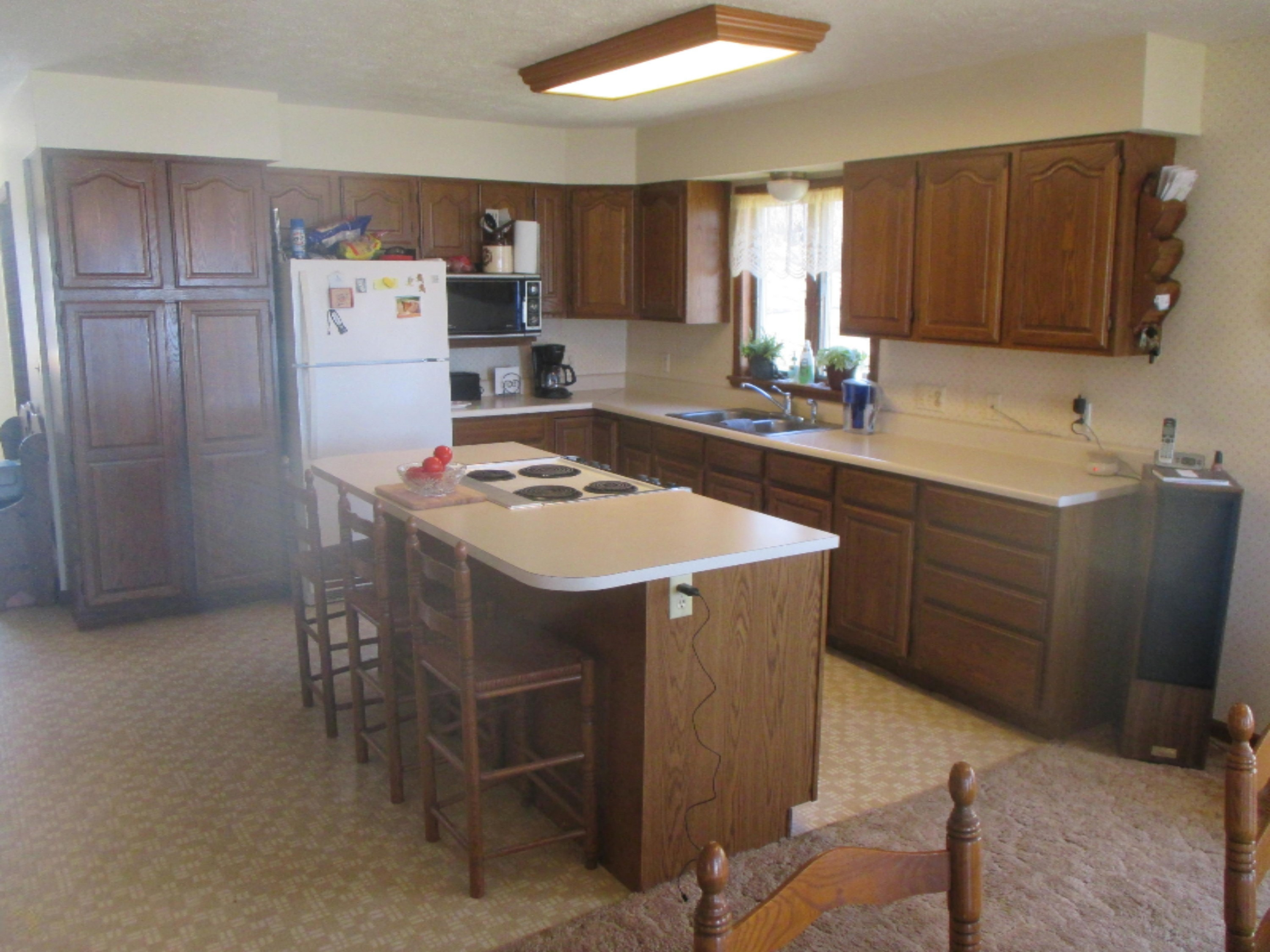 8330 Spring Road Northwest Stanton, MI 48888 - Photo 4 of 5 4