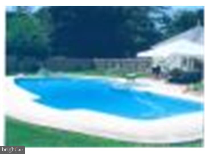 421 Dorset Road Devon, PA 19333 - Photo 22 of 25 Pool