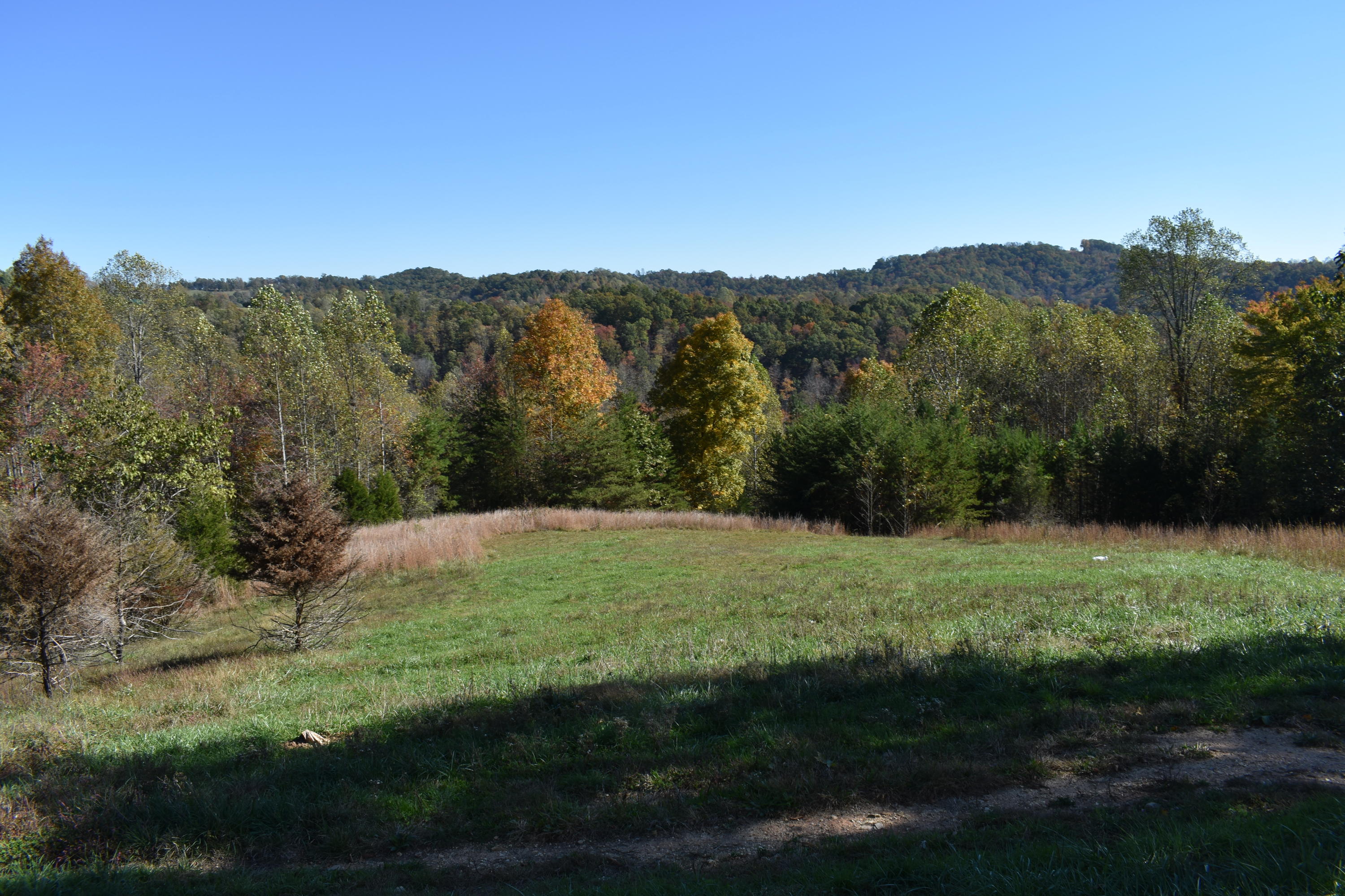 1081 Powell Ridge Road Speedwell, TN 37870 - Photo 2 of 14 view
