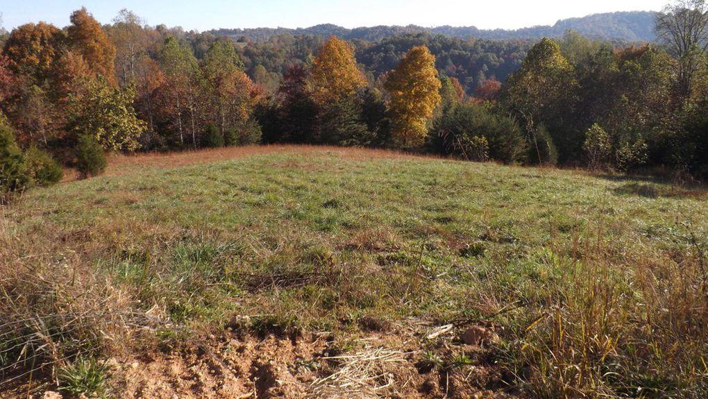 1081 Powell Ridge Road Speedwell, TN 37870 - Photo 12 of 14 Property 2 - Copy