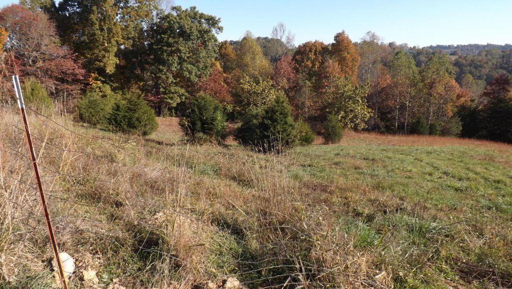 1081 Powell Ridge Road Speedwell, TN 37870 - Photo 13 of 14 Property 3 - Copy