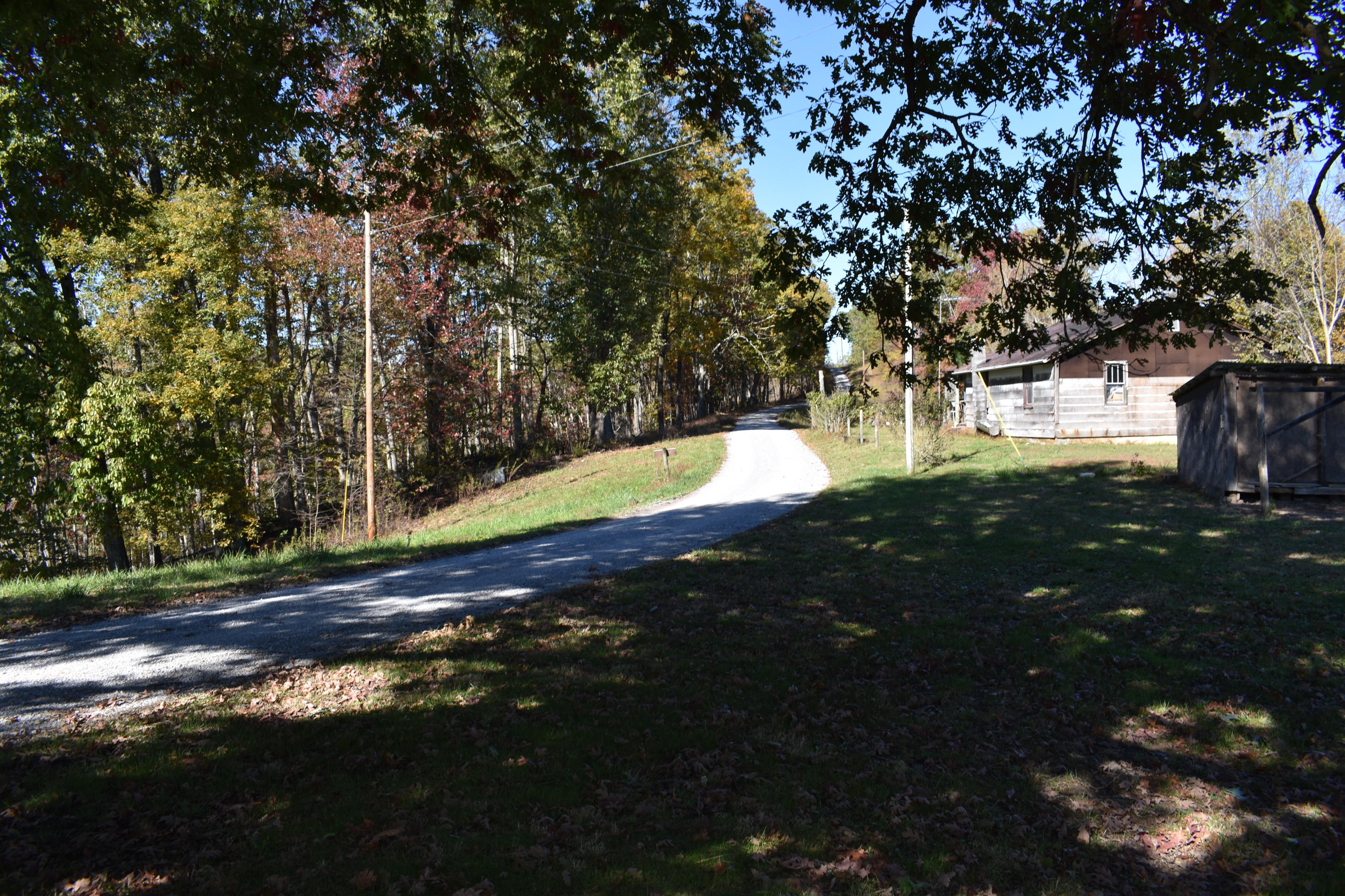 1081 Powell Ridge Road Speedwell, TN 37870 - Photo 3 of 14 DSC_0012