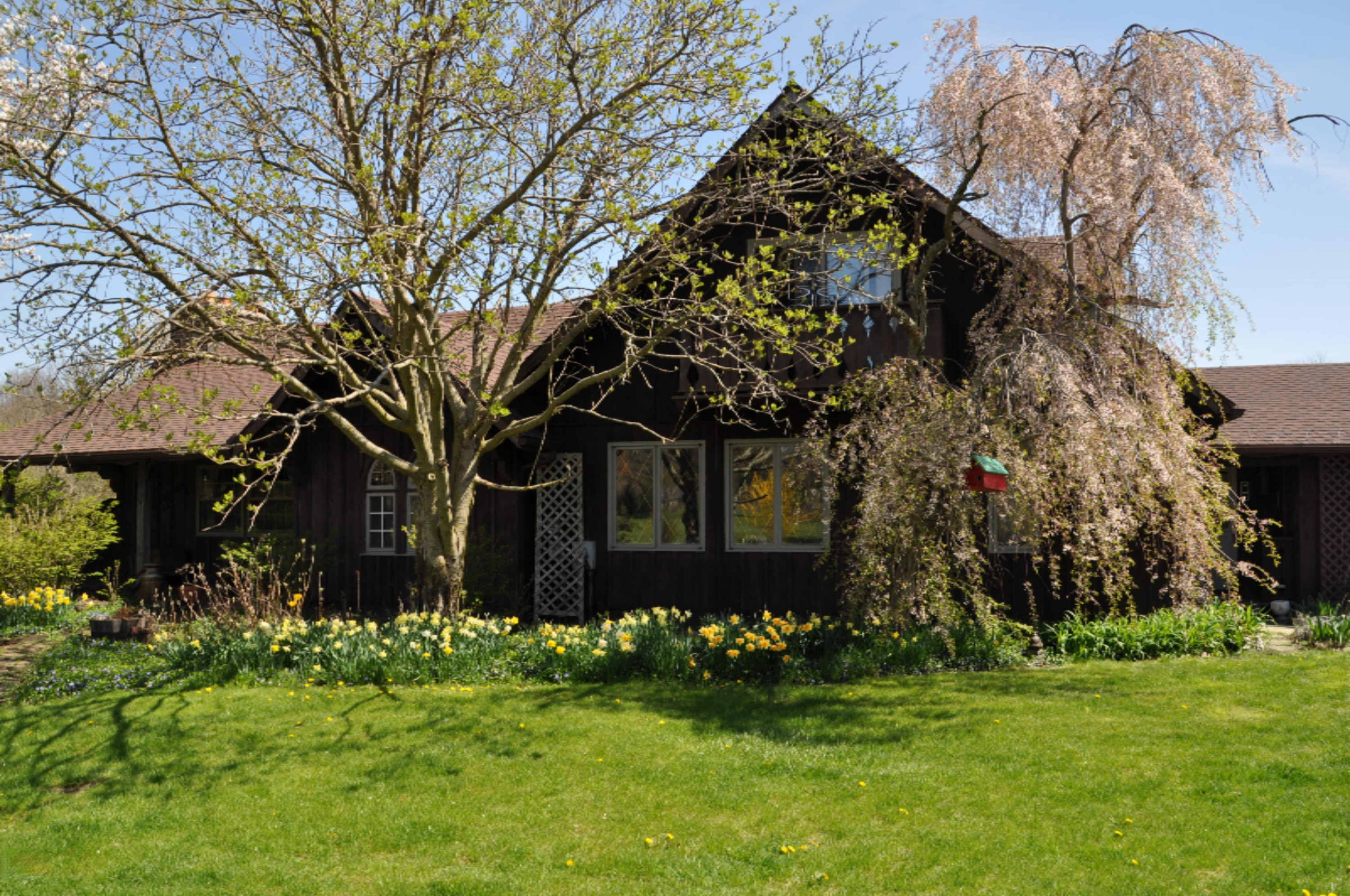 10855 Okemos Road Portland, MI 48875 - Photo 2 of 56 DSC_0121