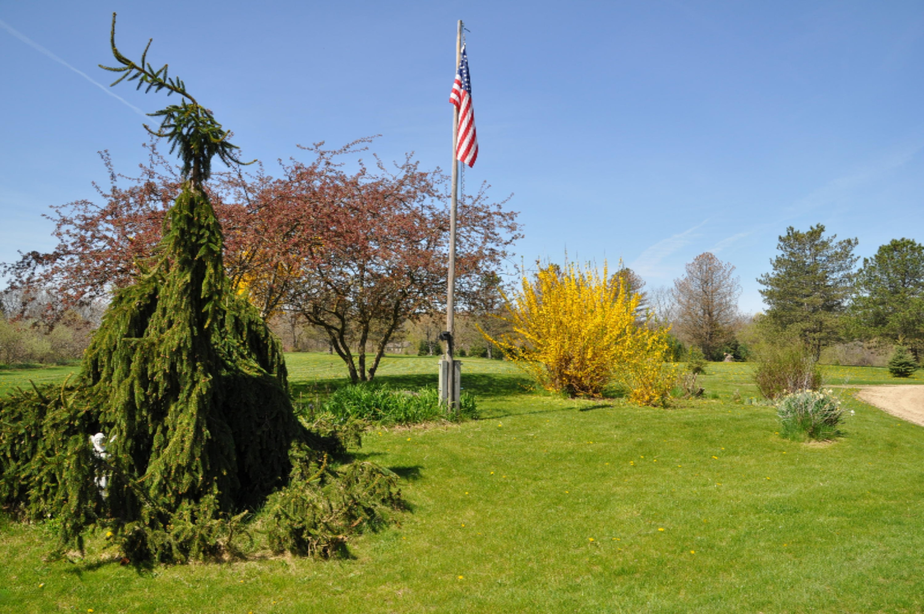 10855 Okemos Road Portland, MI 48875 - Photo 4 of 56 DSC_0123