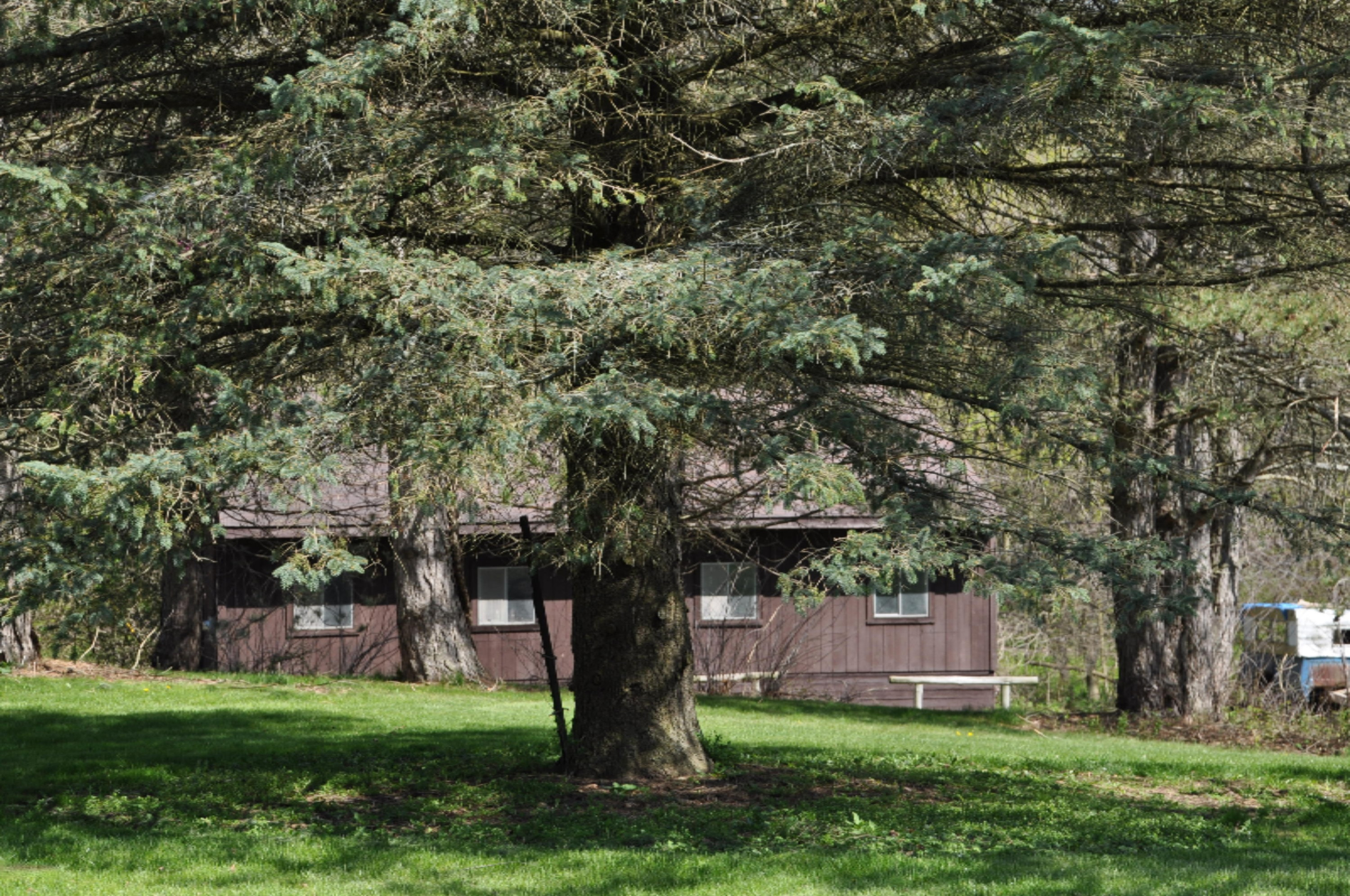 10855 Okemos Road Portland, MI 48875 - Photo 6 of 56 DSC_0126