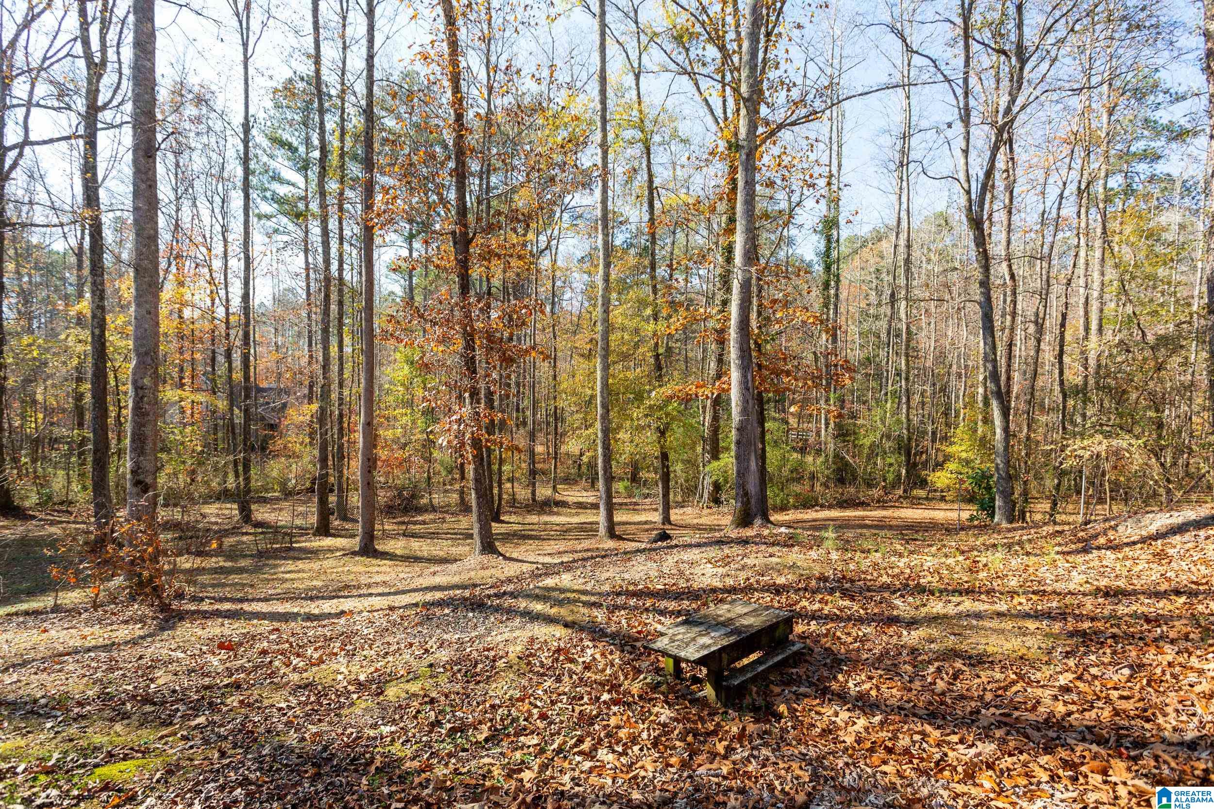 6879 Deer Haven Road Pinson, AL 35126 - Photo 39 of 48
