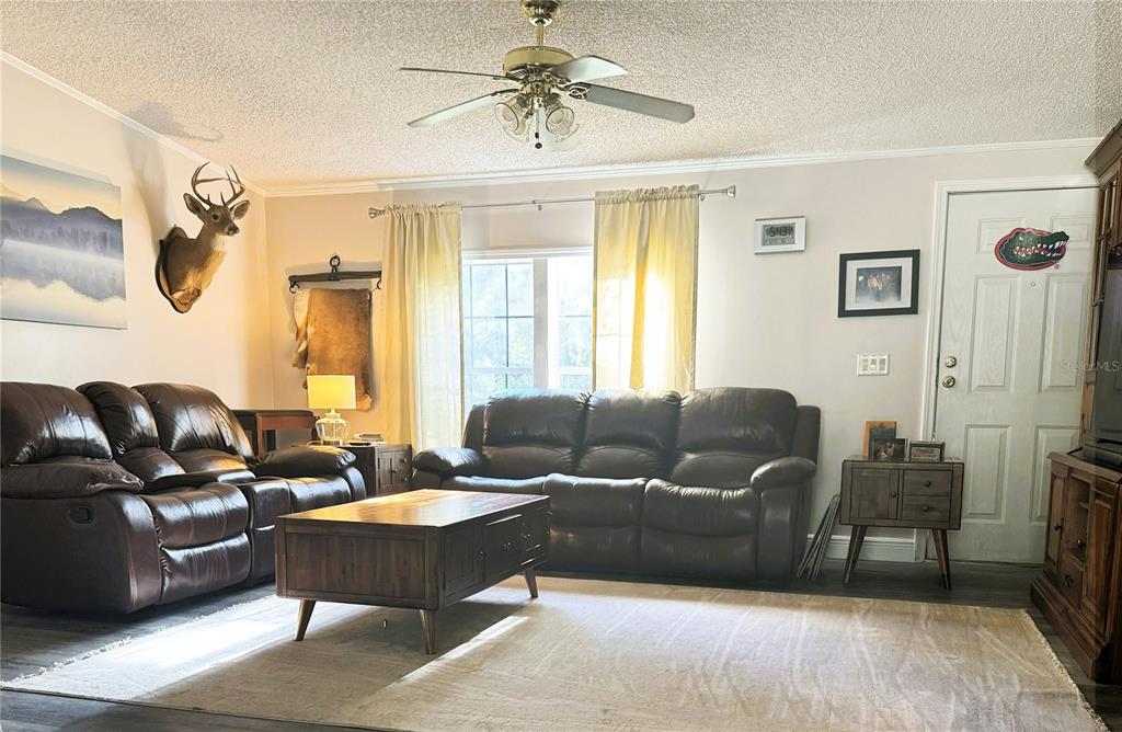 16314 Tiger Trail Spring Hill, FL 34610 - Photo 3 of 11 a living room with furniture ceiling fan and a window