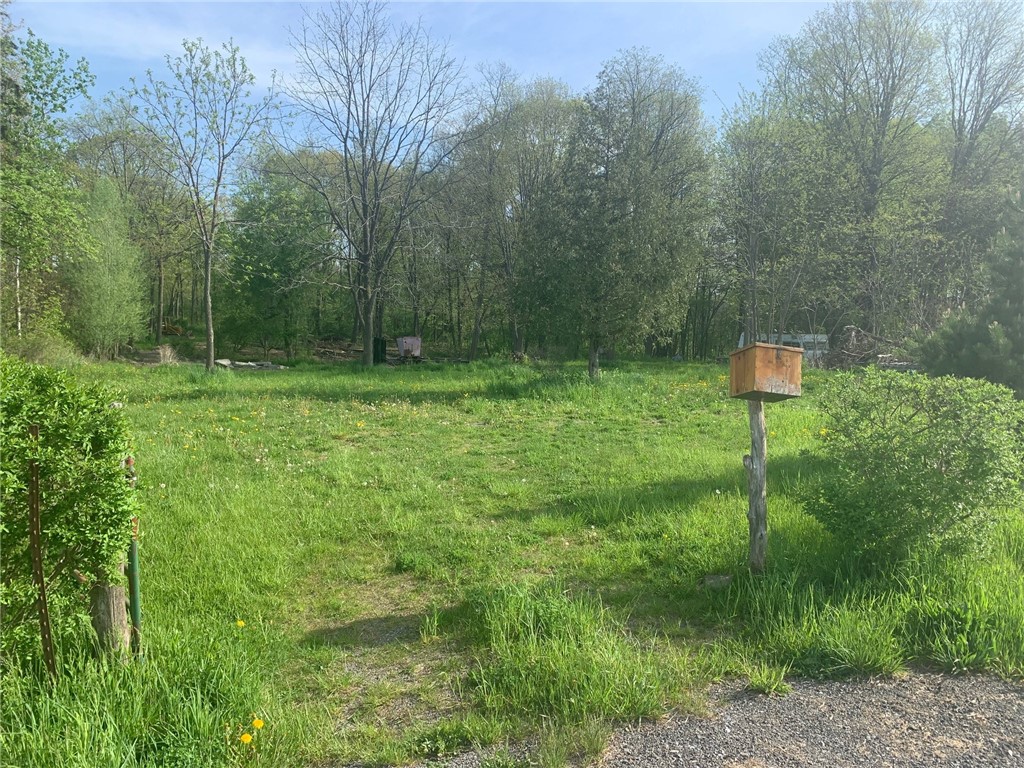 388 Rock Stream Road Starkey, NY 14878 - Photo 1 of 1