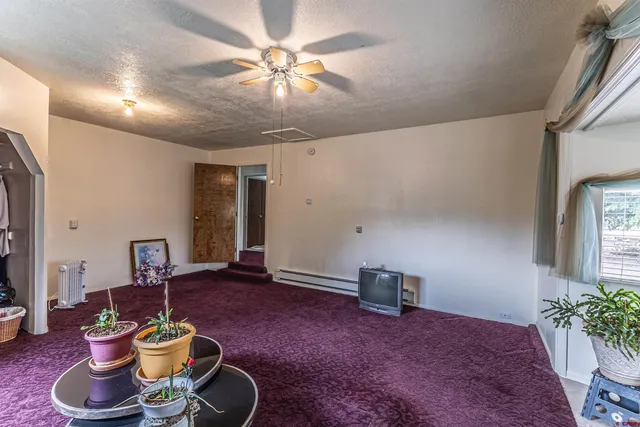 a living room with furniture flowerpot and a potted plant