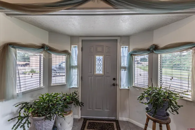 a room with window and a potted plant