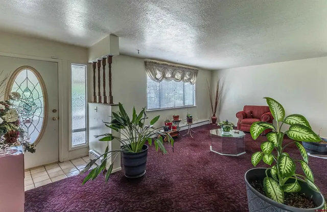a potted plant sitting in a room next to a window