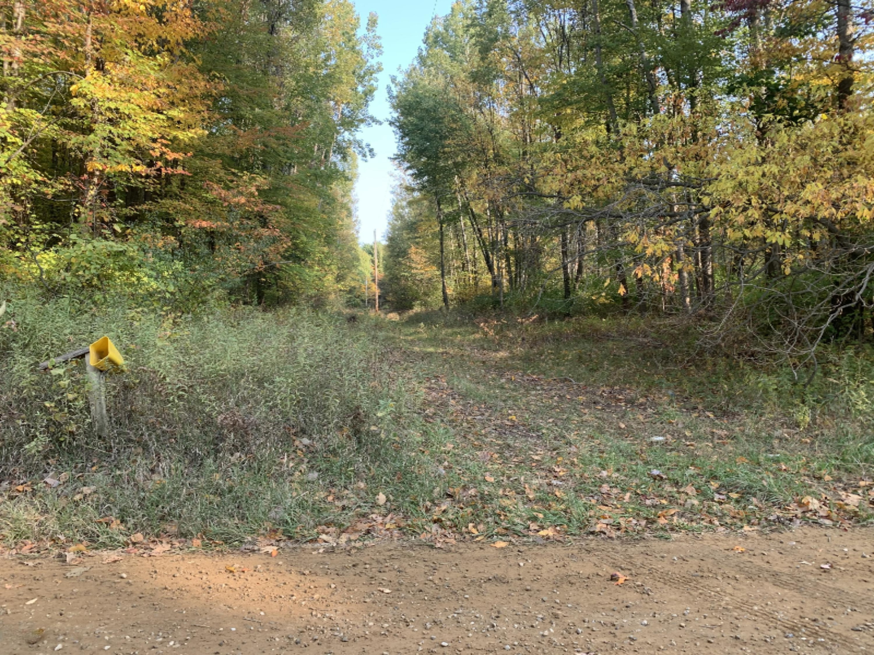 5191 Baseline Road Grand Junction, MI 49056 - Photo 1 of 10 IMG-1863