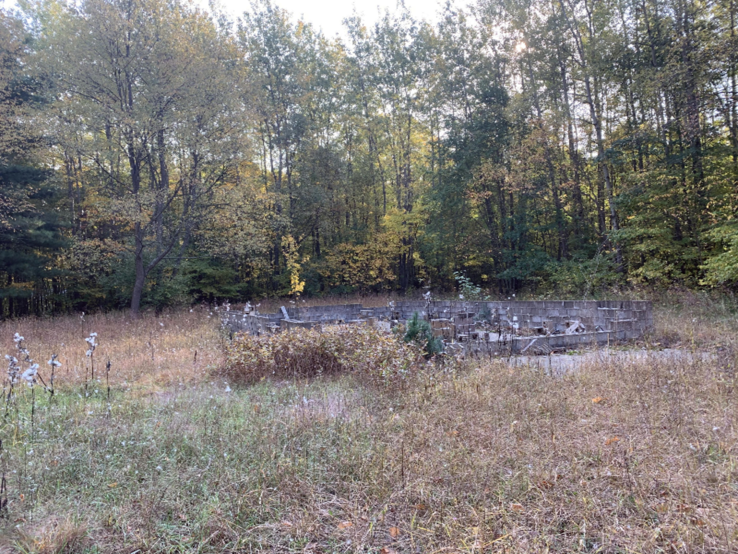 5191 Baseline Road Grand Junction, MI 49056 - Photo 5 of 10 IMG-1851