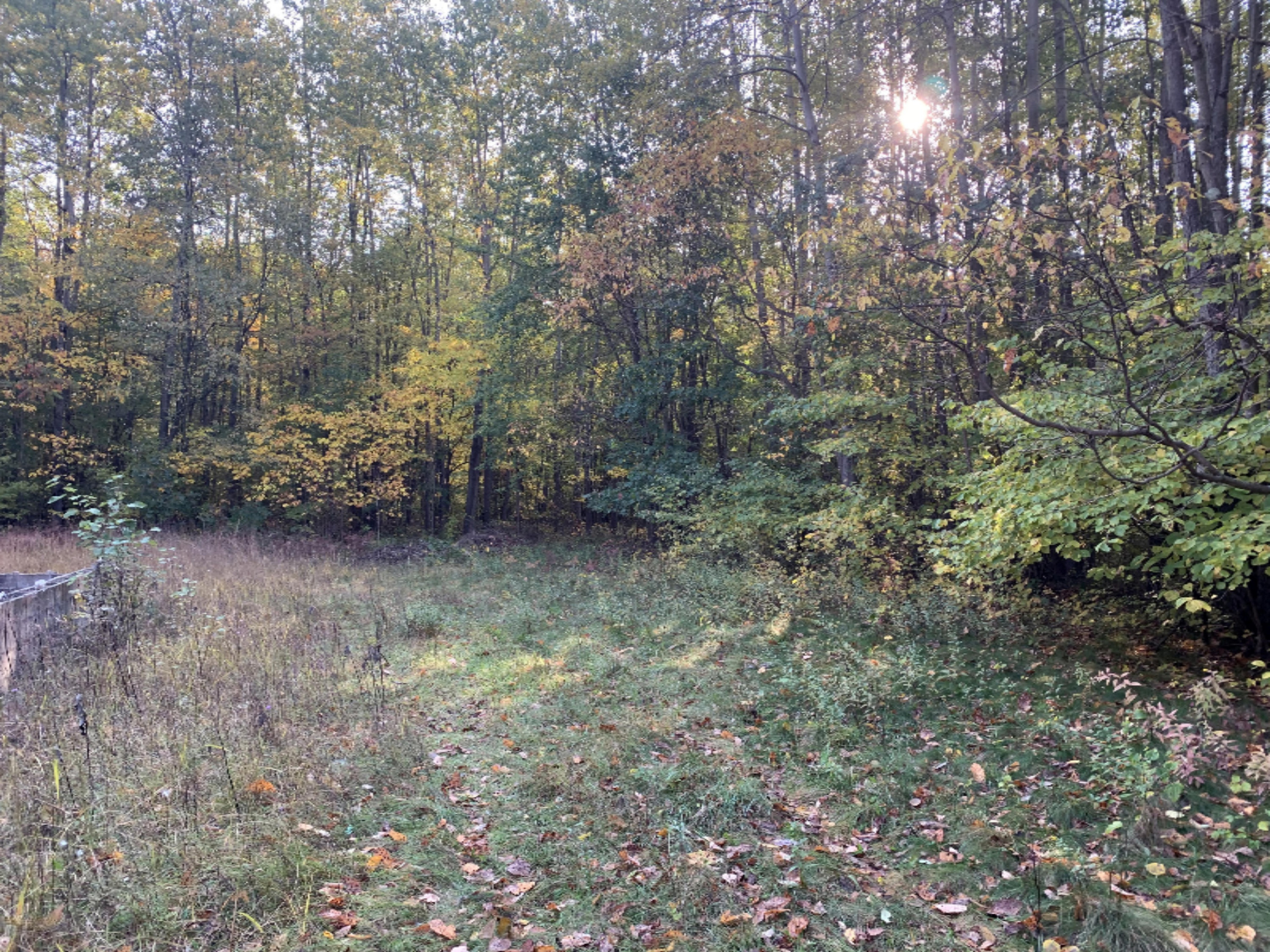 5191 Baseline Road Grand Junction, MI 49056 - Photo 7 of 10 IMG-1854