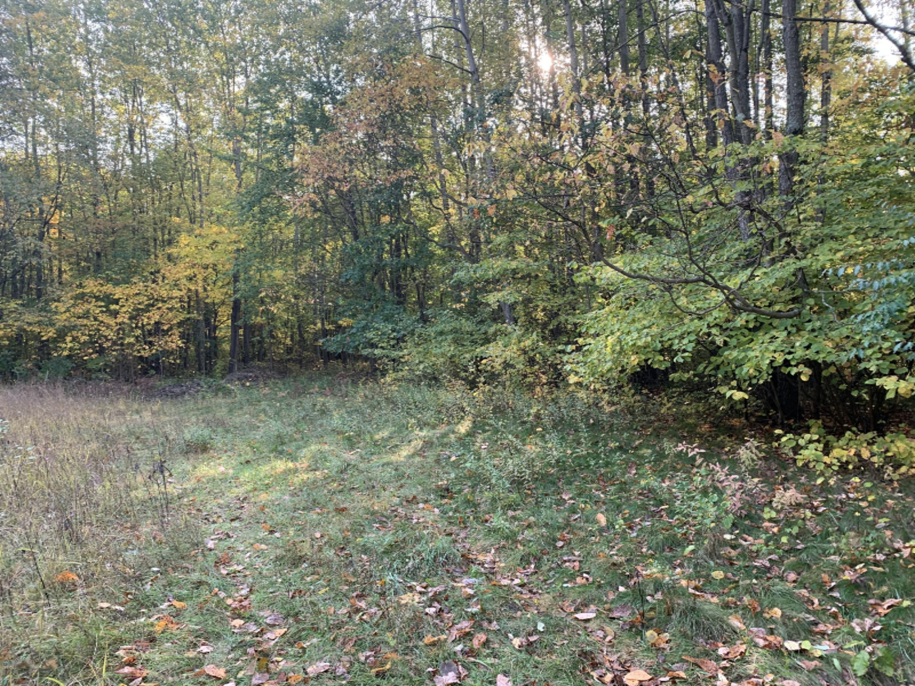 5191 Baseline Road Grand Junction, MI 49056 - Photo 8 of 10 IMG-1855