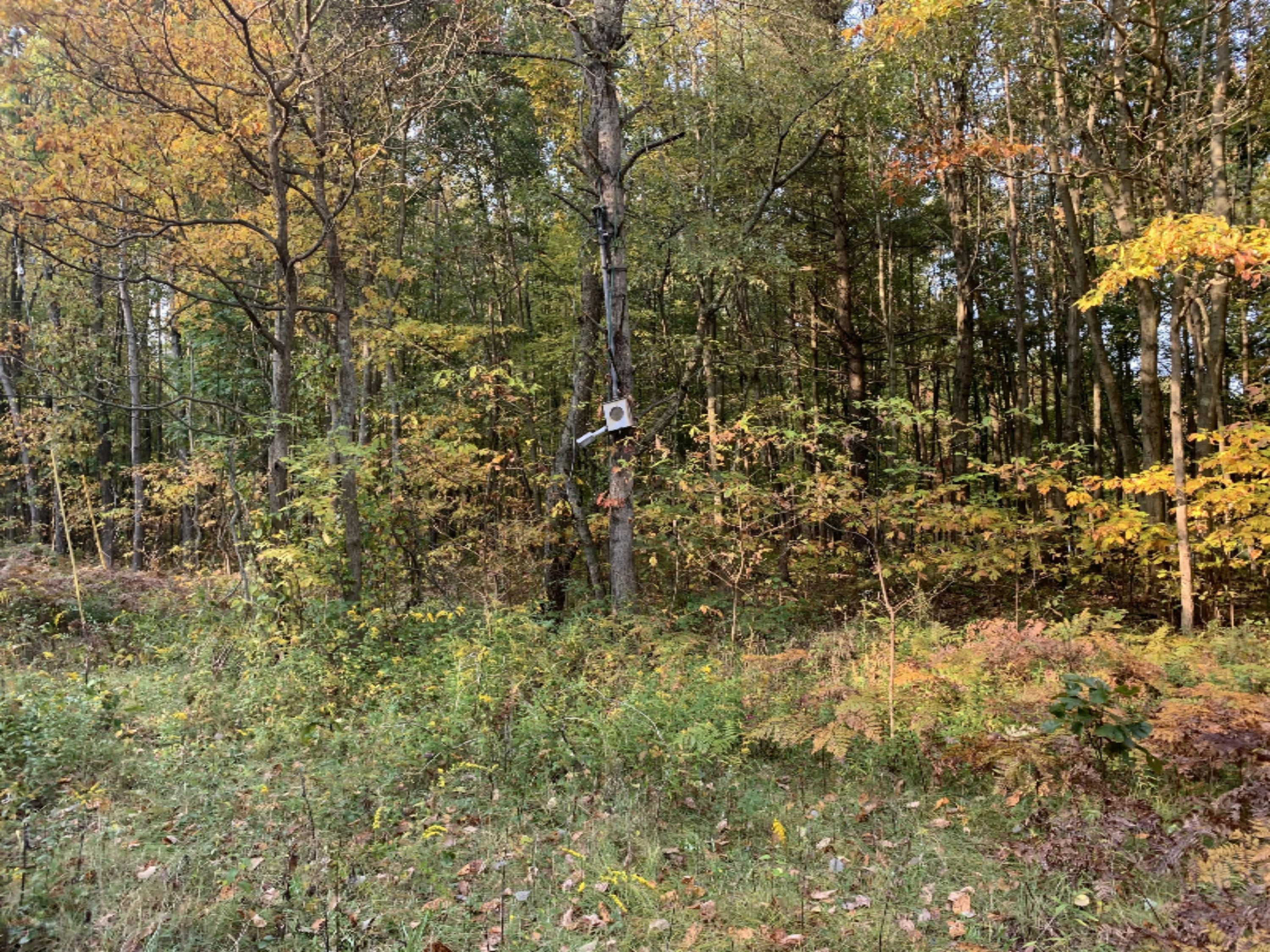 5191 Baseline Road Grand Junction, MI 49056 - Photo 9 of 10 IMG-1861