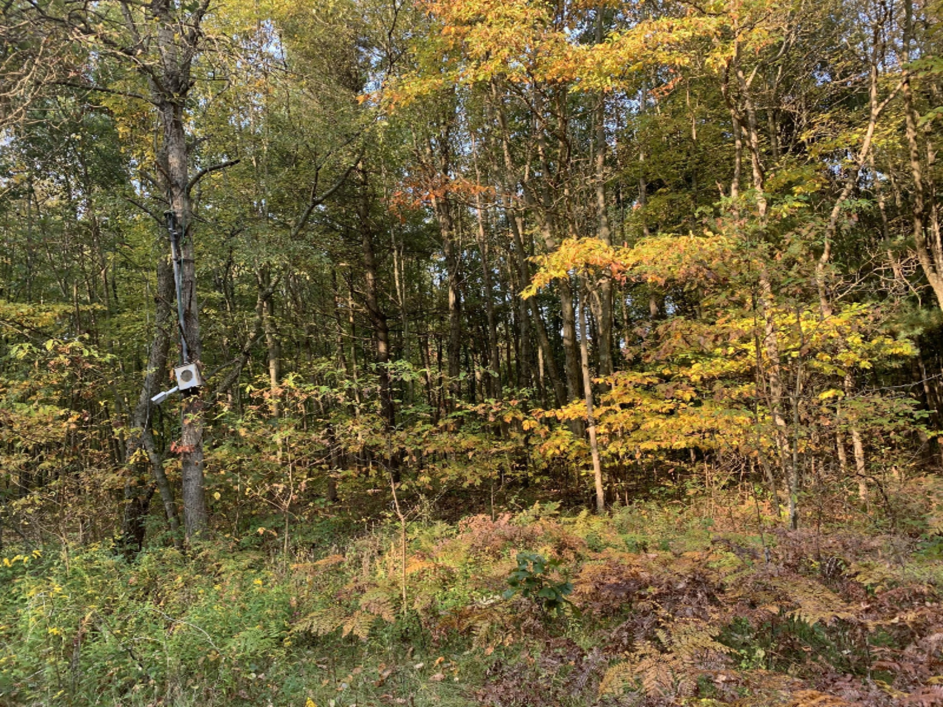 5191 Baseline Road Grand Junction, MI 49056 - Photo 10 of 10 IMG-1862