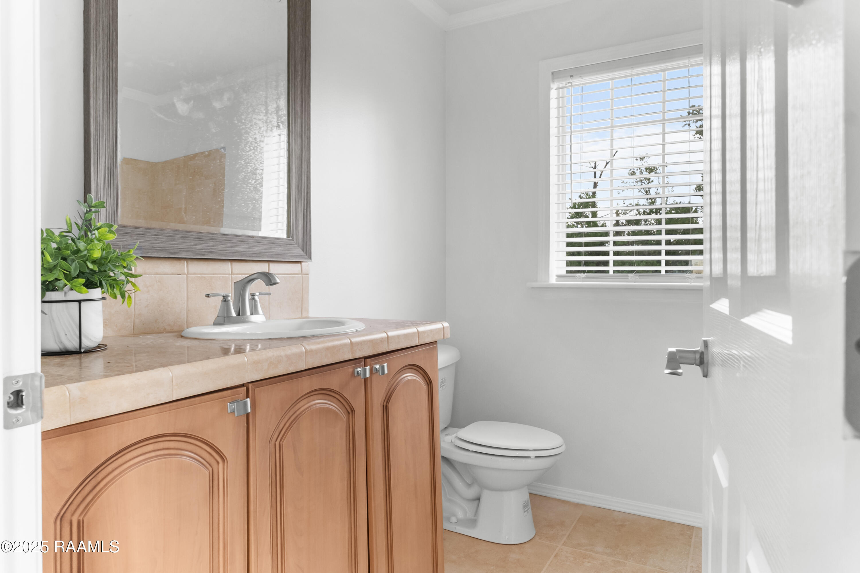 264 Oak Mnr Road Rayne, LA 70578 - Photo 19 of 19 DSC00059