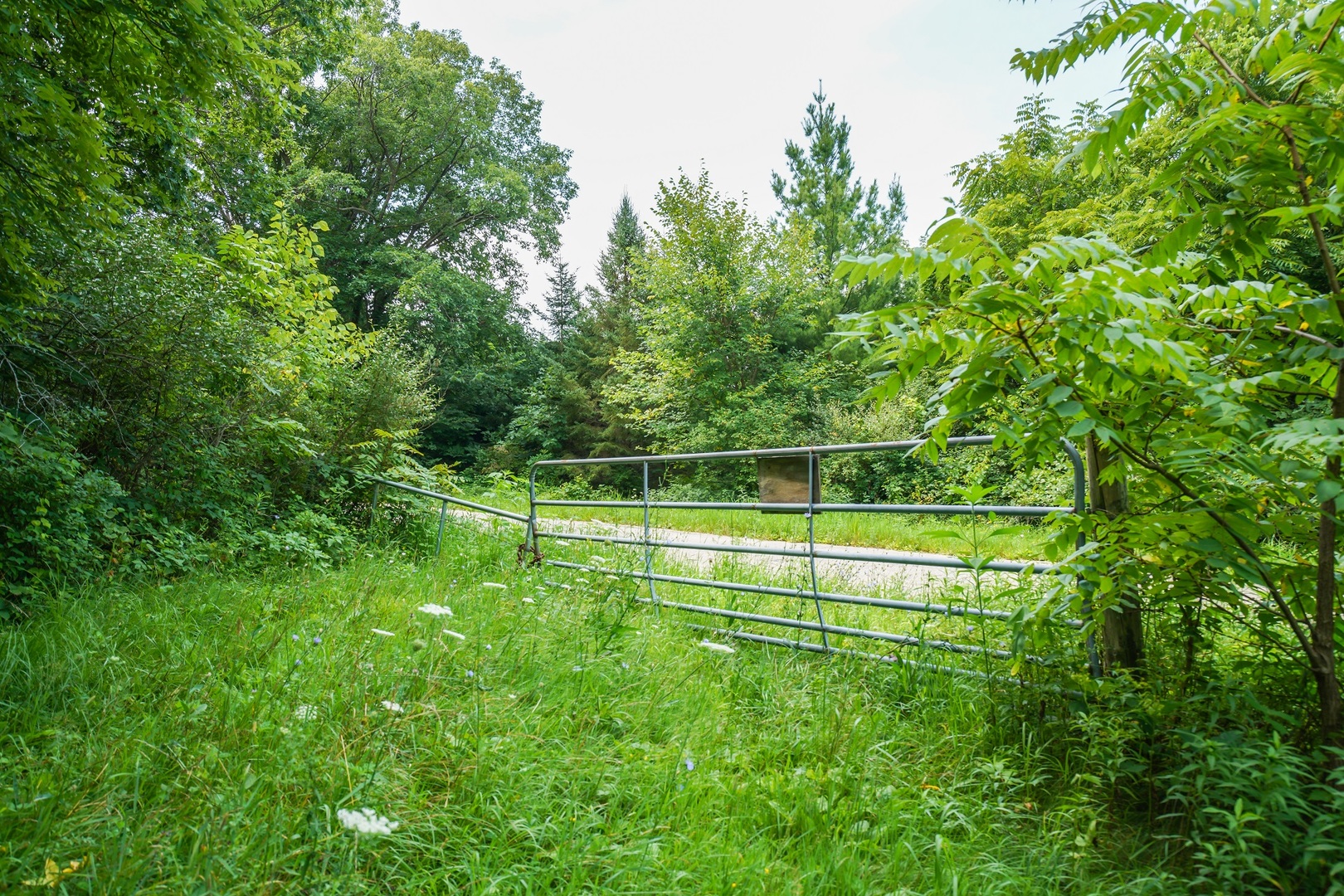 5401 Knobs Road Ridgeway, WI 53588 - Photo 6 of 8 a view of a yard with a fence