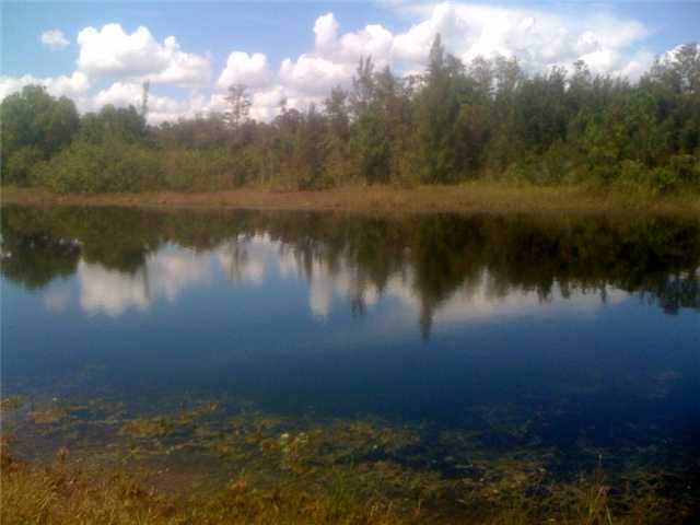 Homeland Rd Lake Lake Worth, FL 33449 - Photo 1 of 6 Primary Photo