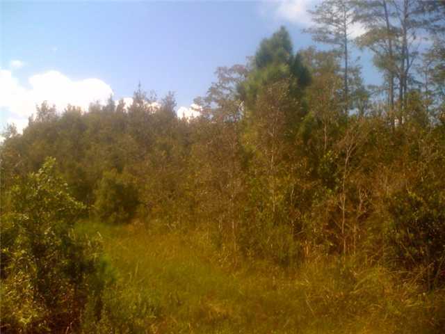 Homeland Rd Lake Lake Worth, FL 33449 - Photo 4 of 6 Additional Photo