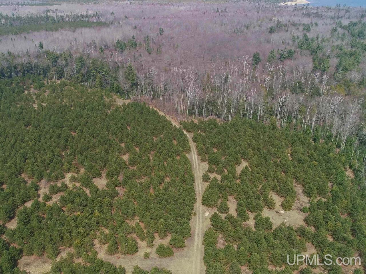 40-acres Gierke Road Manistique, MI 49854 - Photo 32 of 39