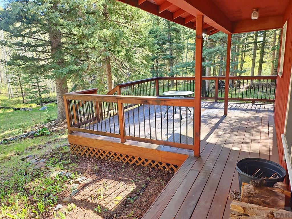 114 Silvercliffe Drive Rye, CO 81069 - Photo 5 of 13
