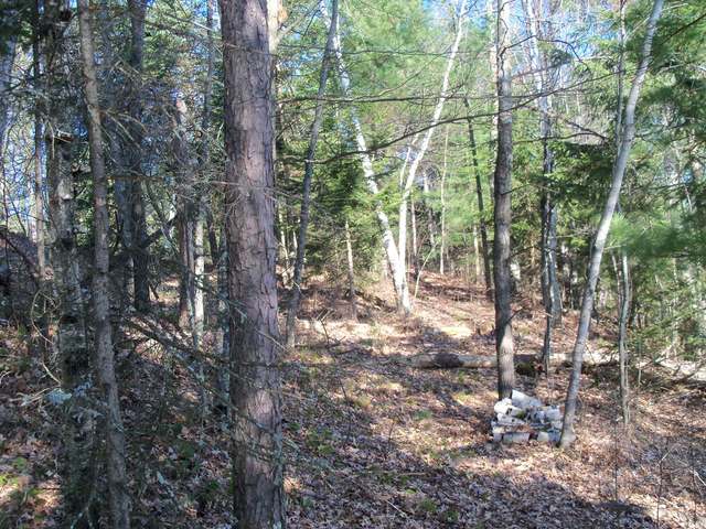Lot#3 Hazy Bay Road Tomahawk, WI 54487 - Photo 11 of 13 Gallery Image 11
