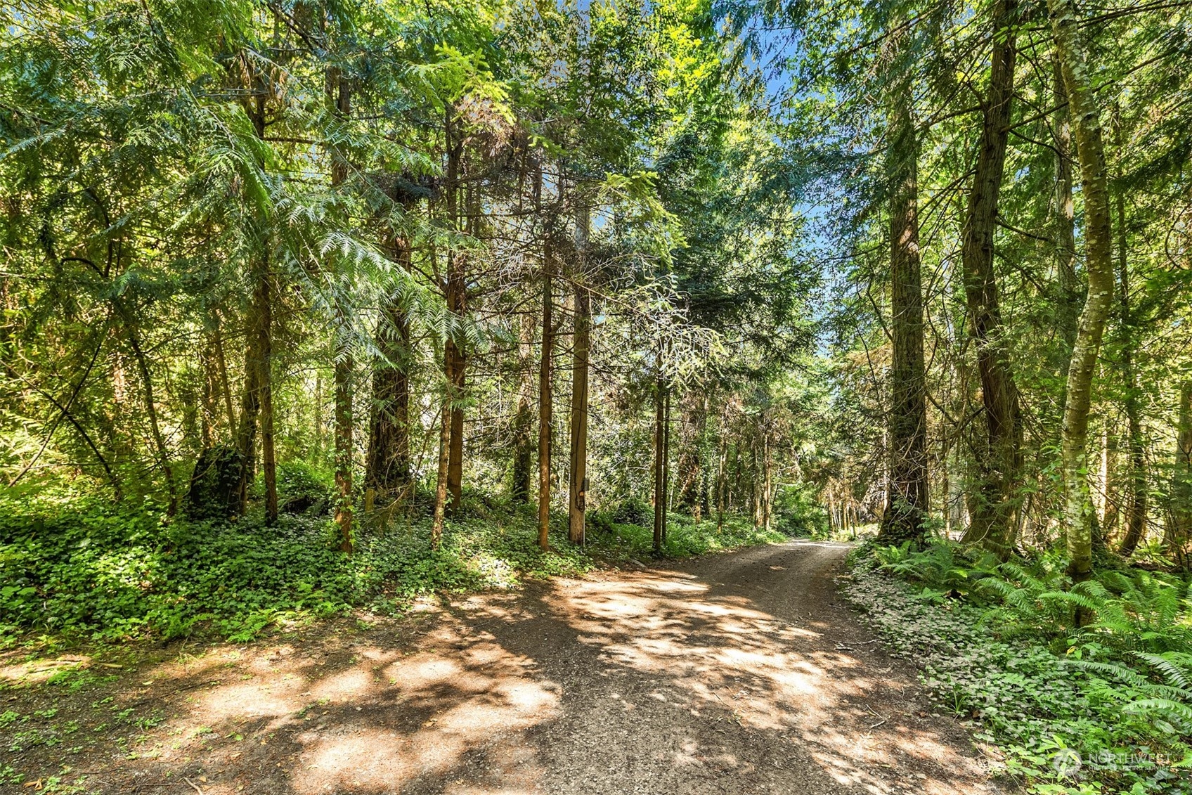 7380 Northeast Manual Road Bainbridge Island, WA 98110 - Photo 7 of 12 Gallery Image 7