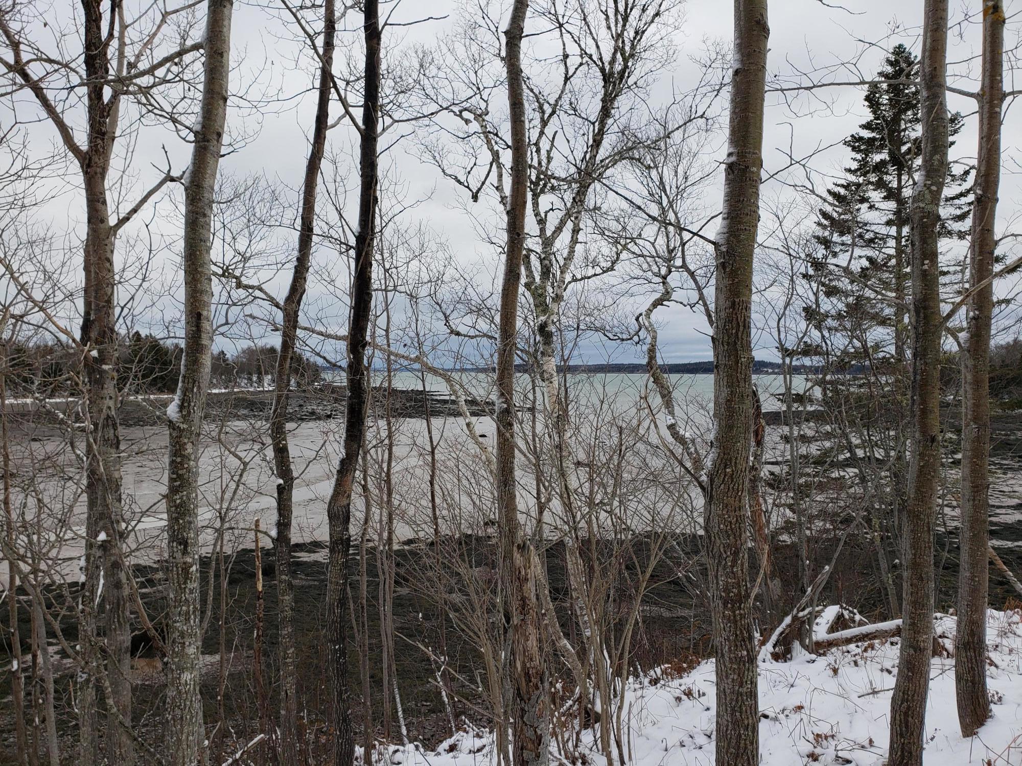 Xx Birch Point Road Perry, ME 04667 - Photo 4 of 10 20210107_124143