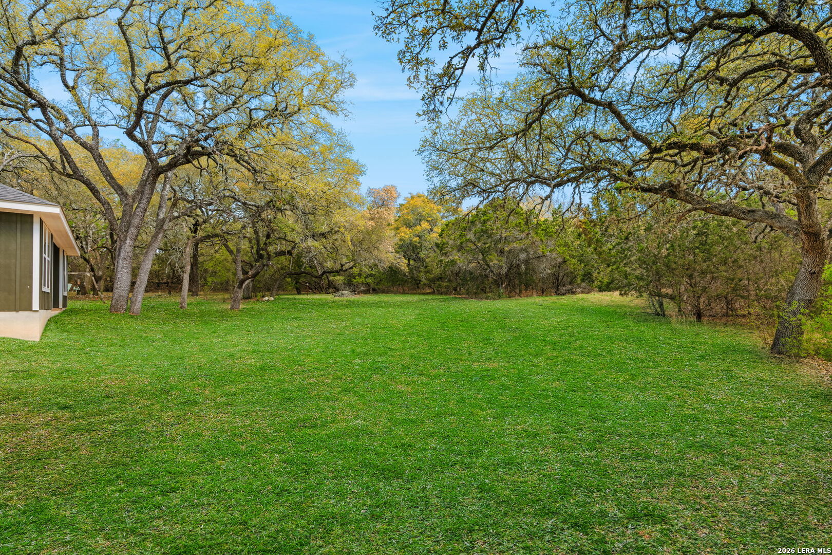 157 Sycamore Helotes, TX 78023 - Photo 17 of 26