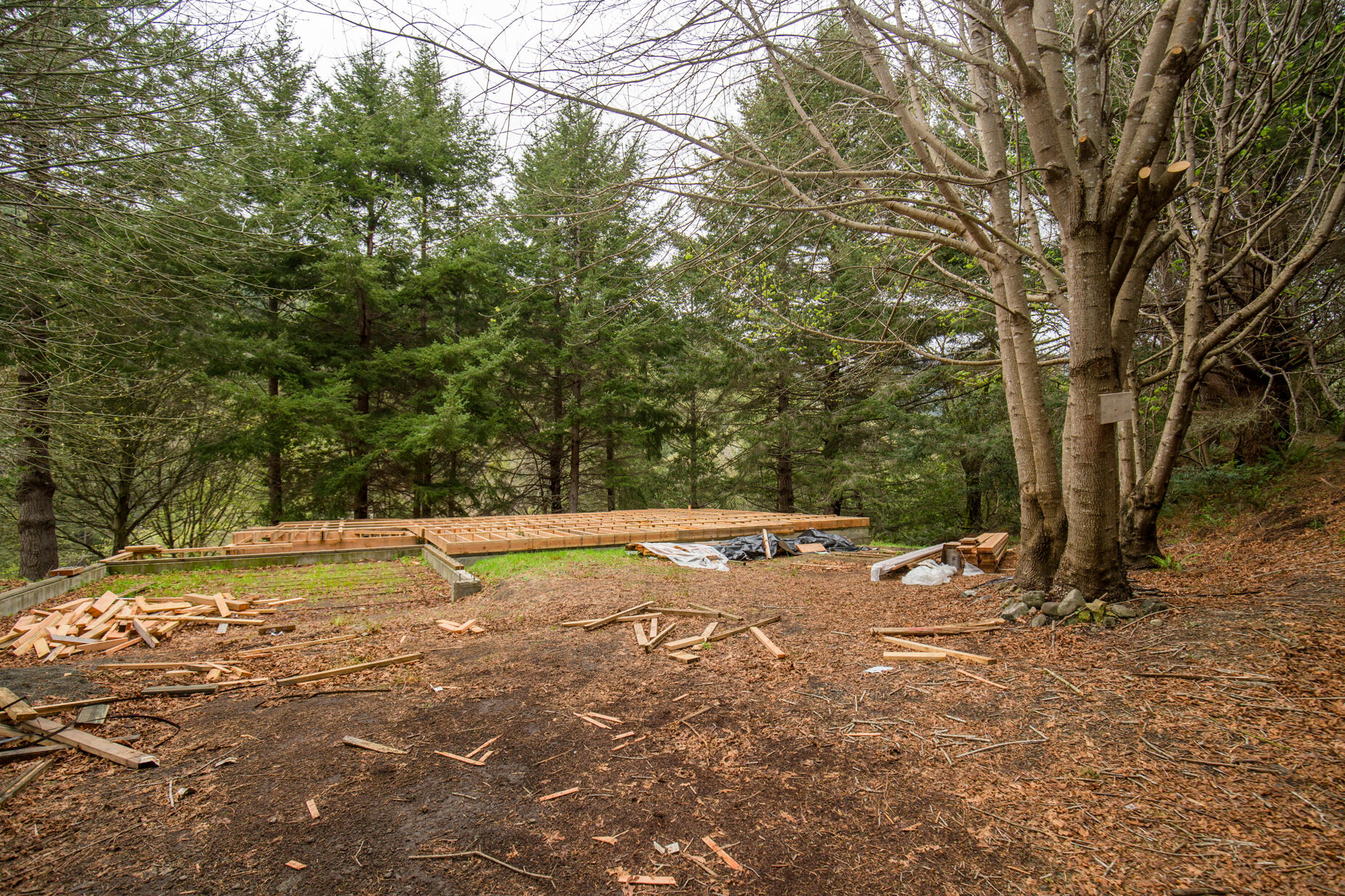 515 Beach Road Shelter Cove, CA 95589 - Photo 26 of 31