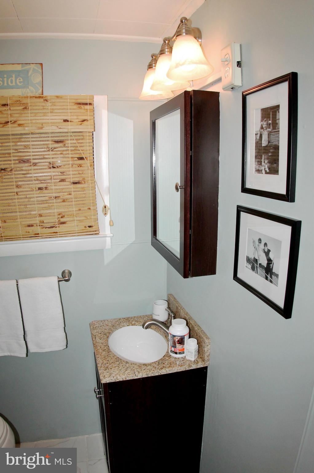 1021 Cold Spring Road Baltimore, MD 21220 - Photo 11 of 30 Bath