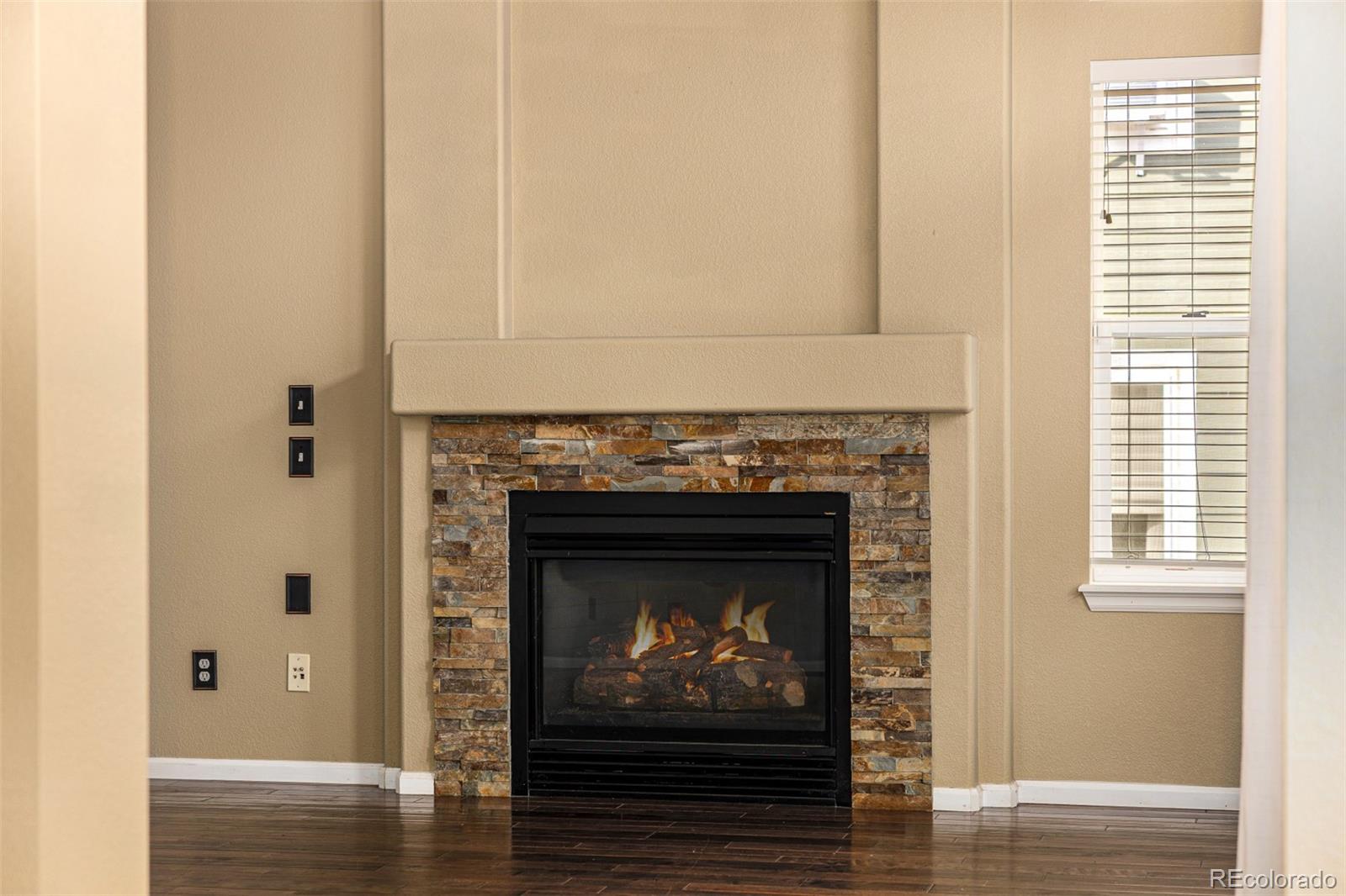 10244 Royal Eagle Street Highlands Ranch, CO 80129 - Photo 12 of 46 a living room with a fireplace