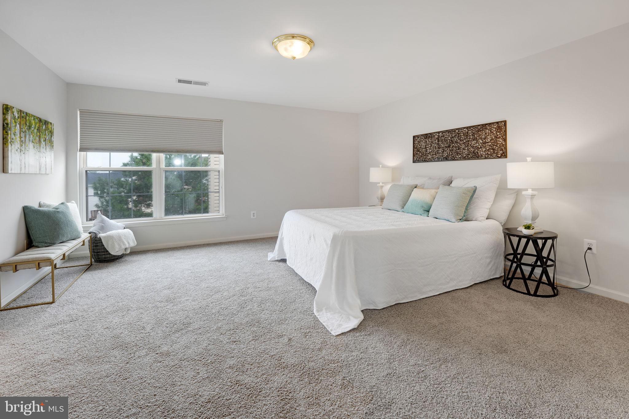 44032 Rising Sun Terrace Ashburn, VA 20147 - Photo 24 of 44 large primary bedroom