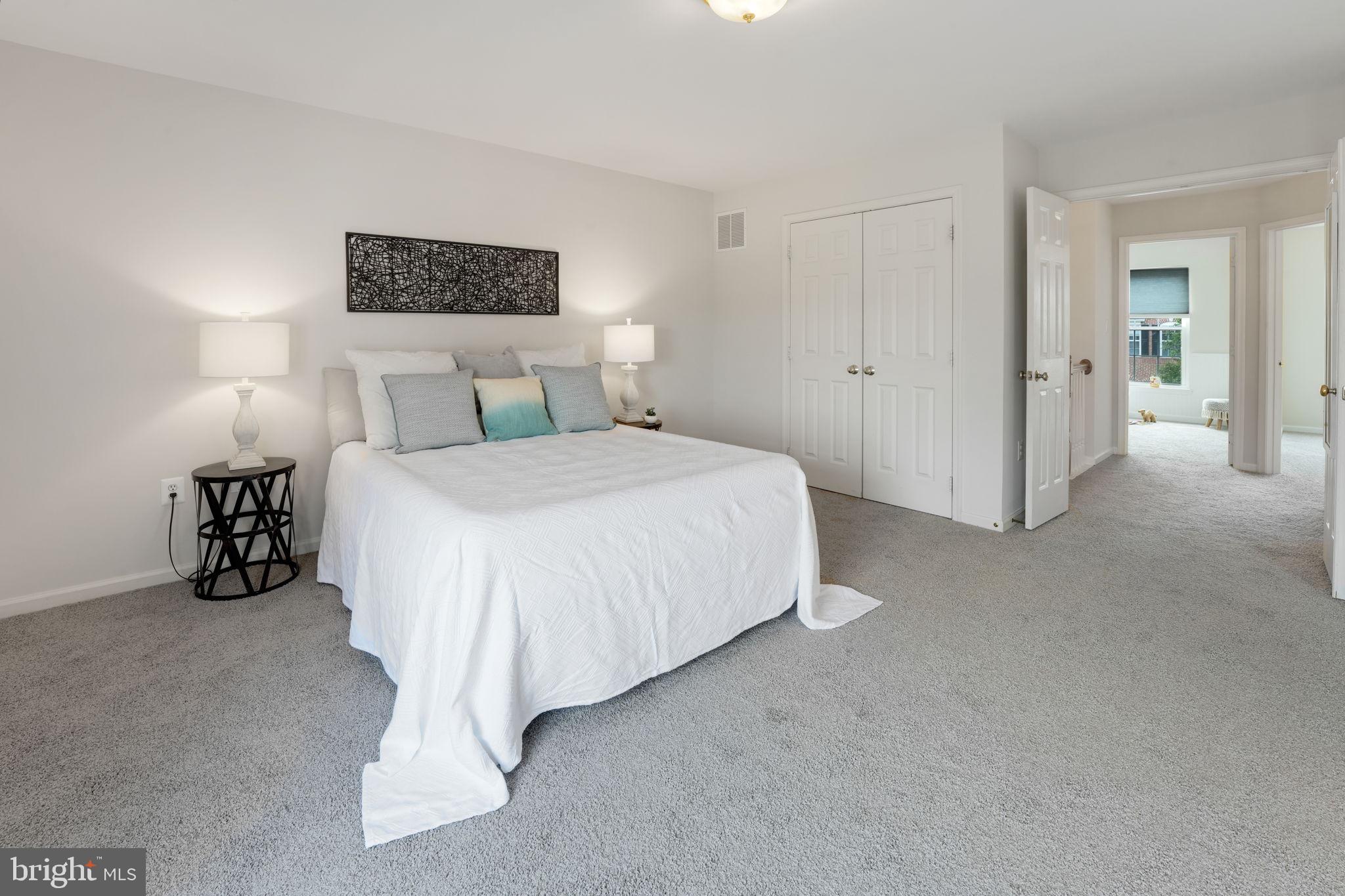 44032 Rising Sun Terrace Ashburn, VA 20147 - Photo 25 of 44 new carpet