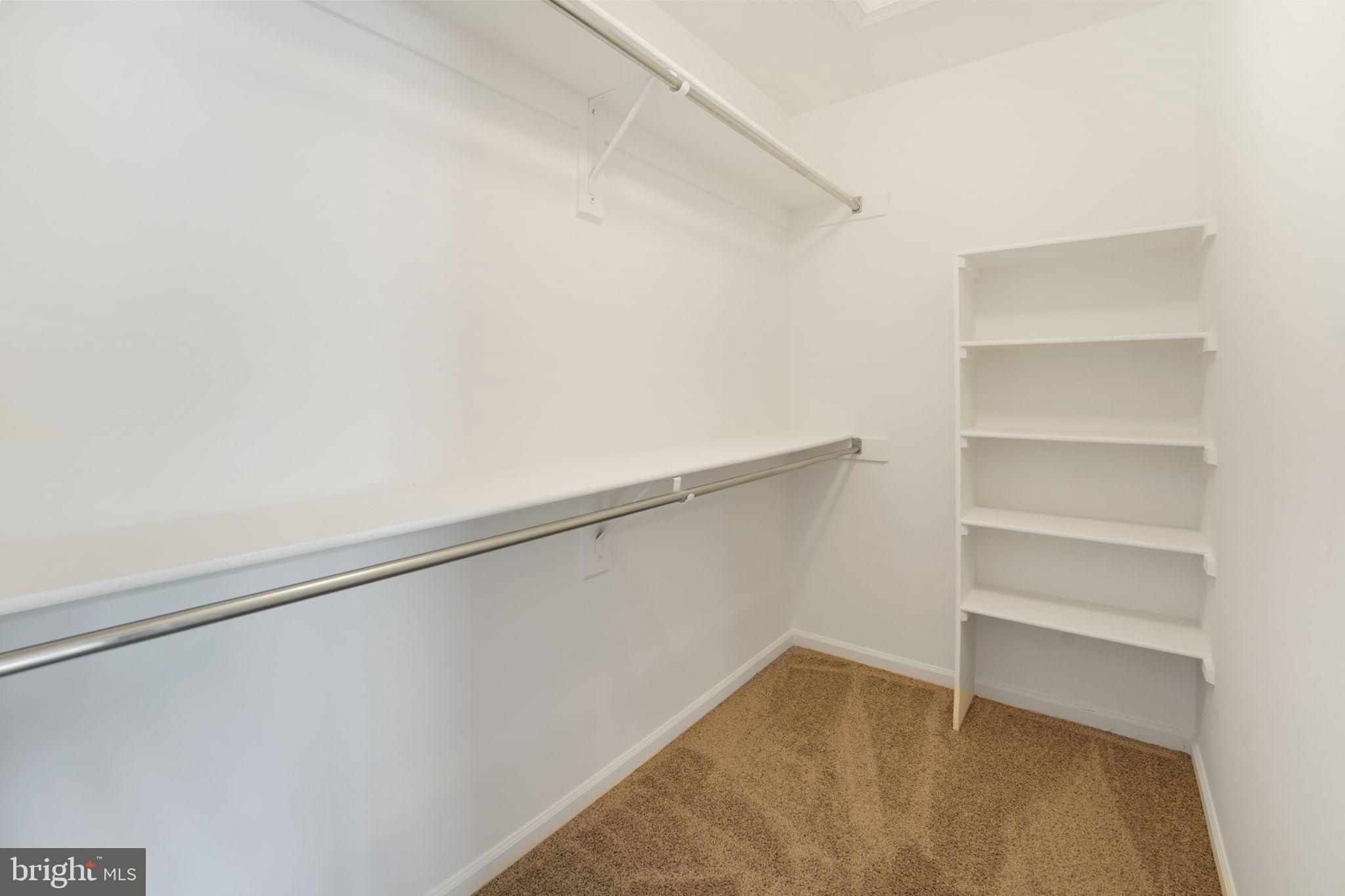 44032 Rising Sun Terrace Ashburn, VA 20147 - Photo 27 of 44 large walk-in closet