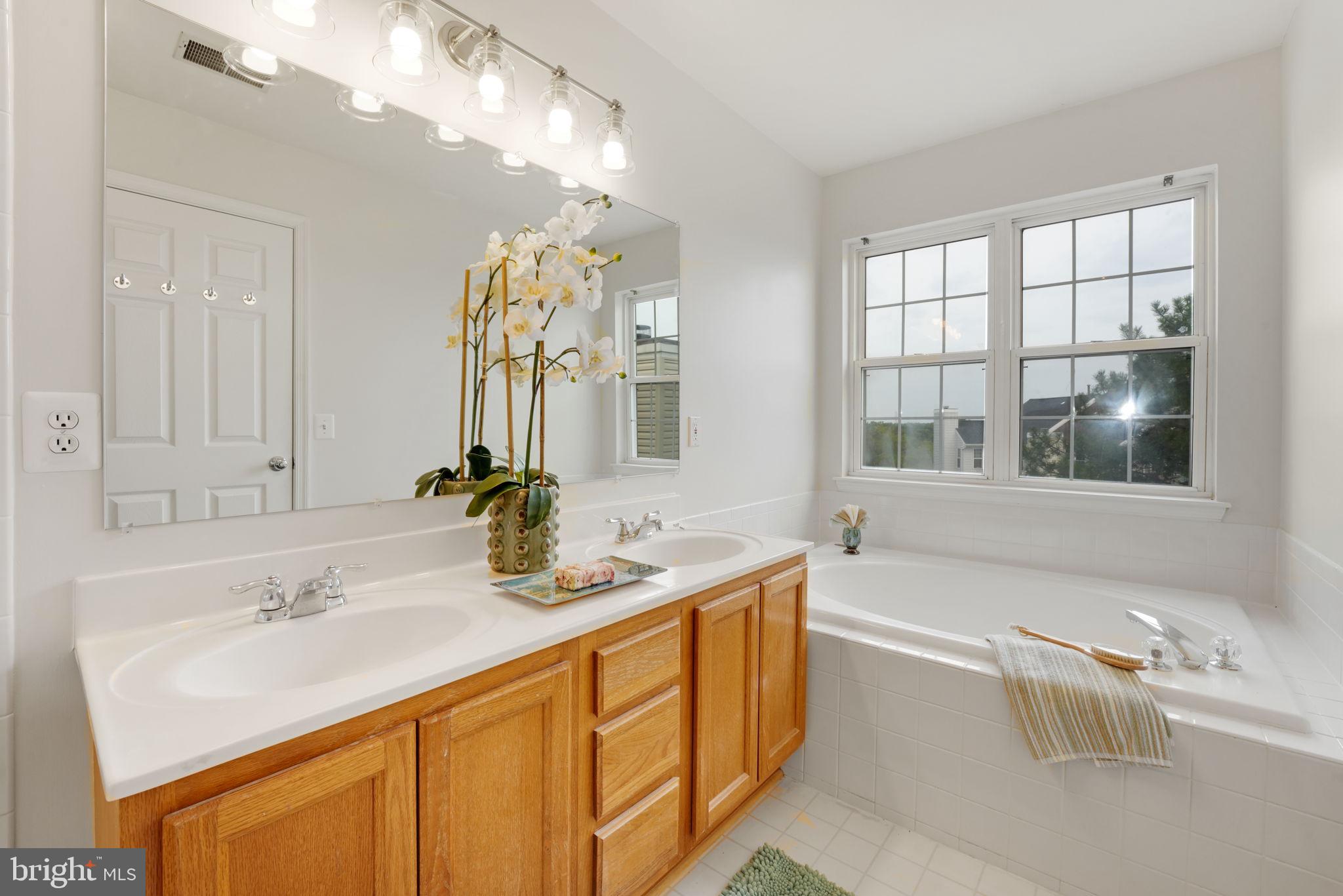 44032 Rising Sun Terrace Ashburn, VA 20147 - Photo 29 of 44 soaking tub