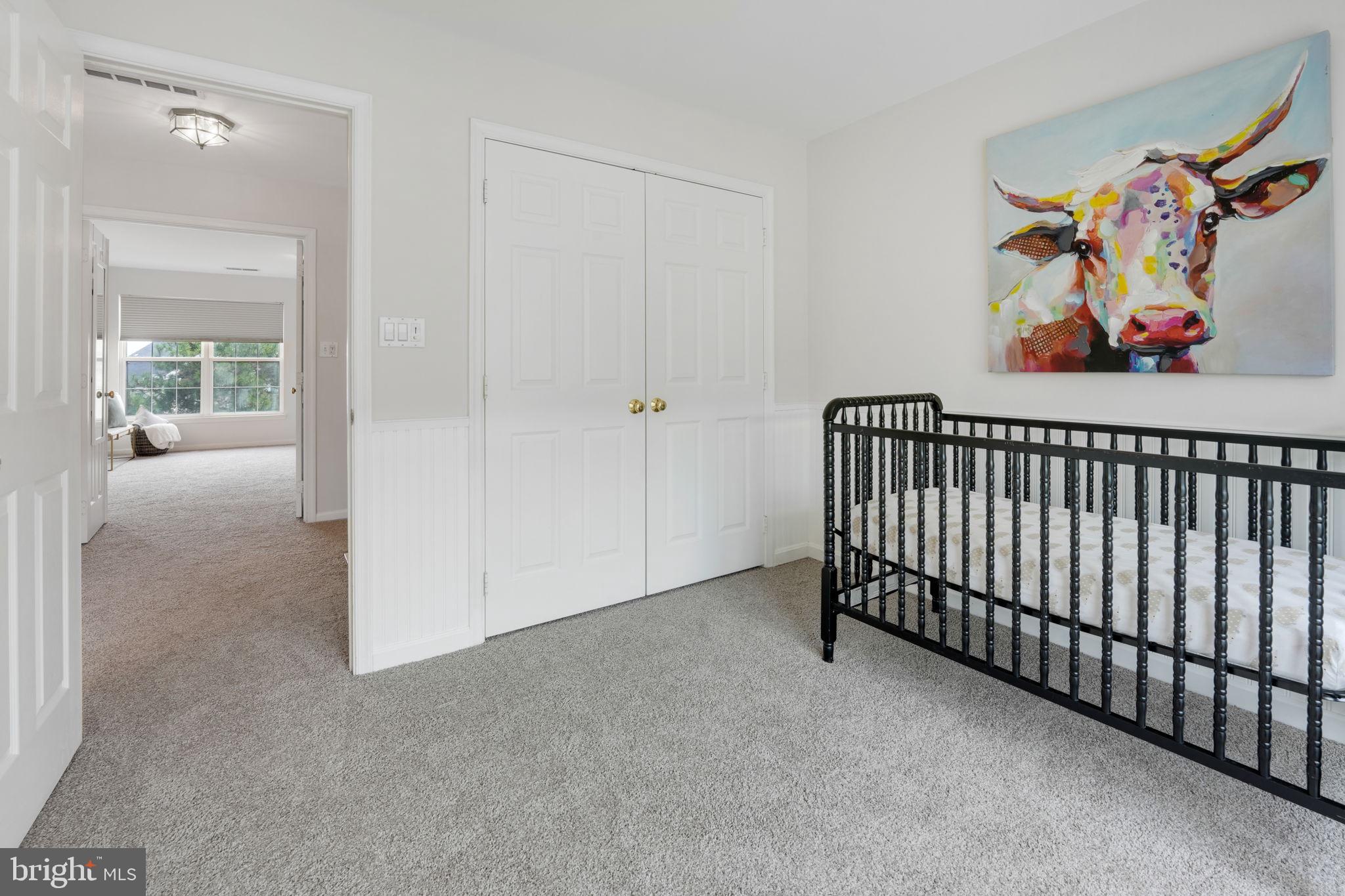 44032 Rising Sun Terrace Ashburn, VA 20147 - Photo 32 of 44 new carpet