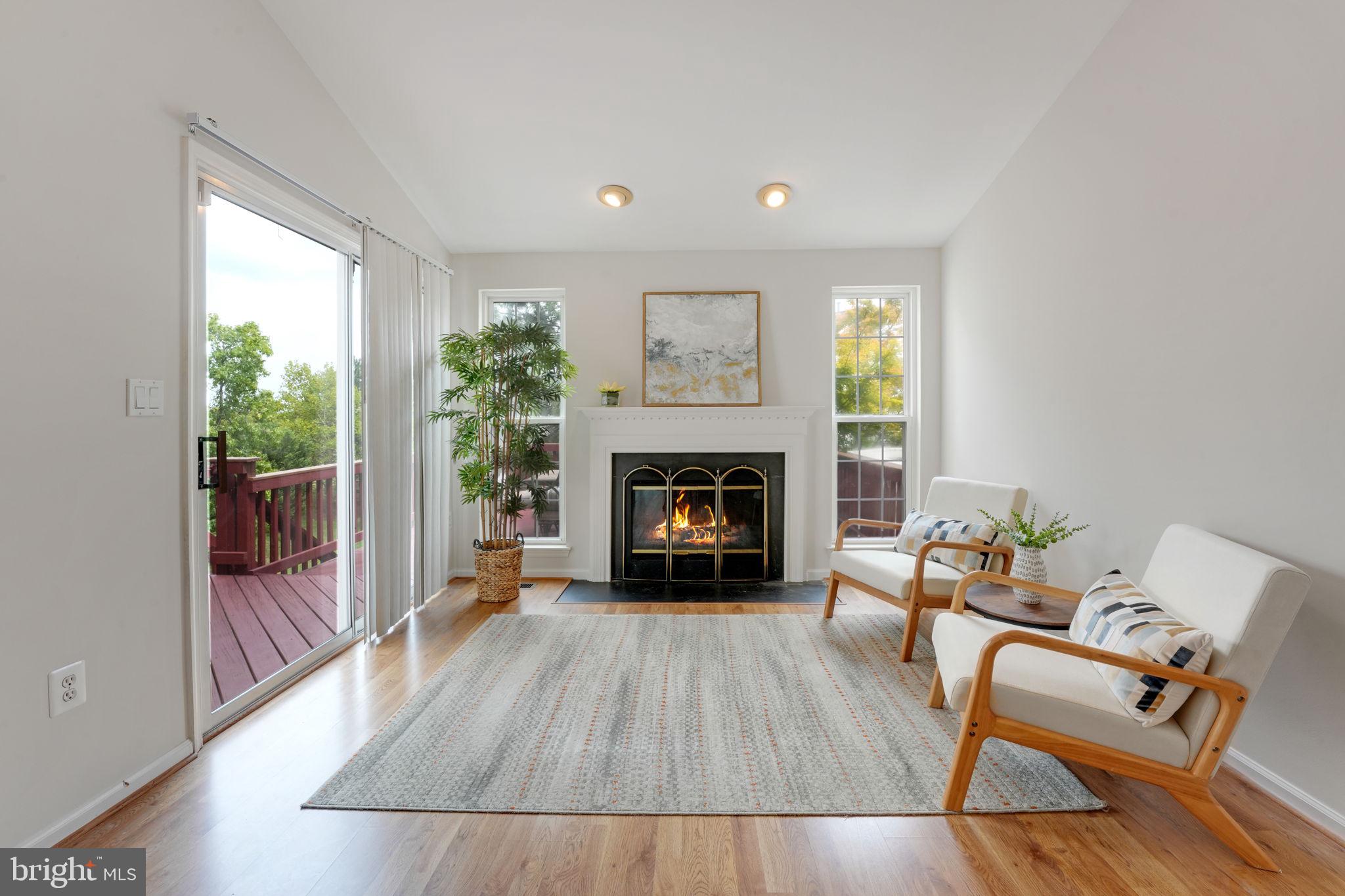 44032 Rising Sun Terrace Ashburn, VA 20147 - Photo 4 of 44 gas fireplace