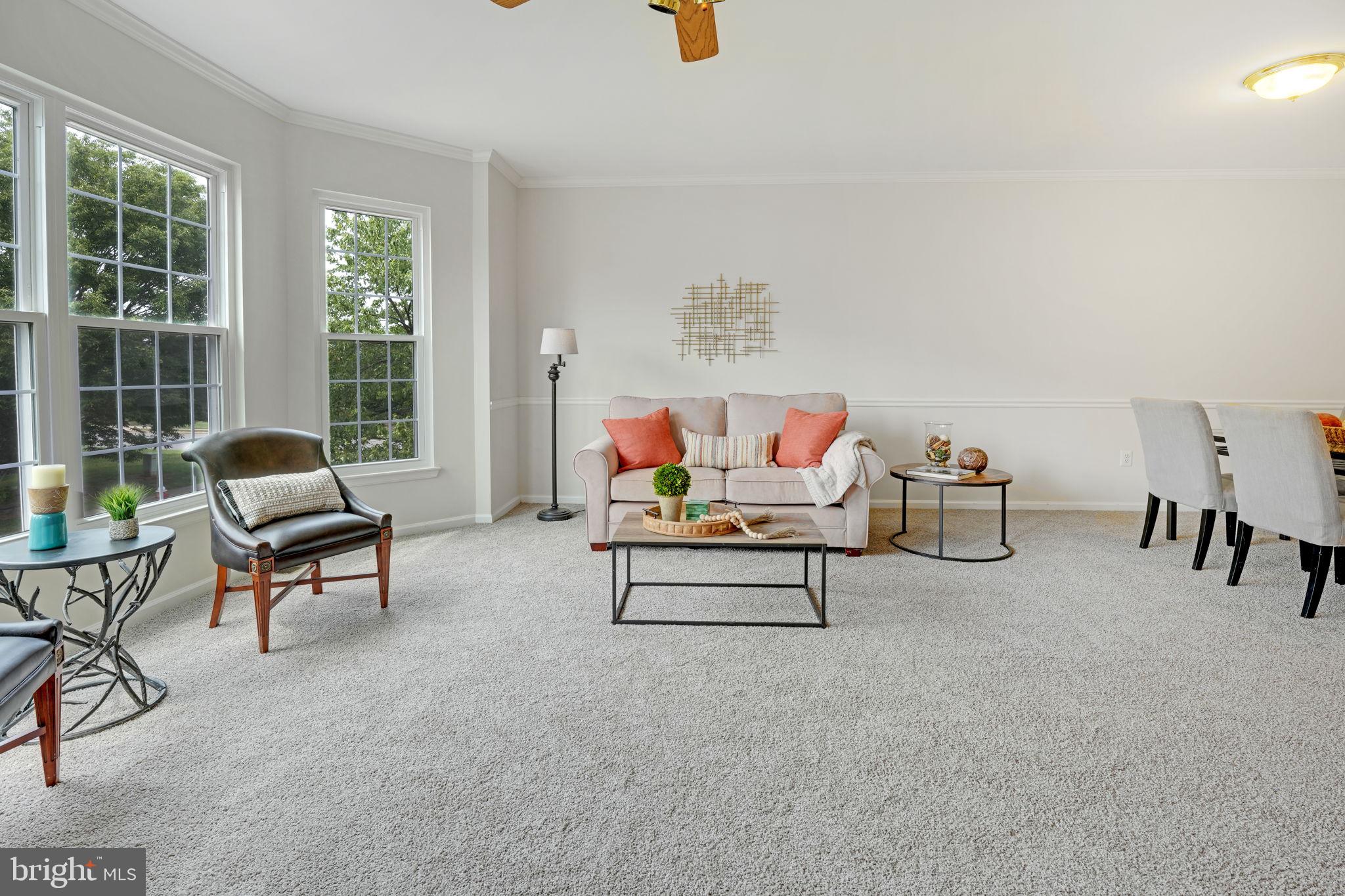 44032 Rising Sun Terrace Ashburn, VA 20147 - Photo 7 of 44 brand new carpet