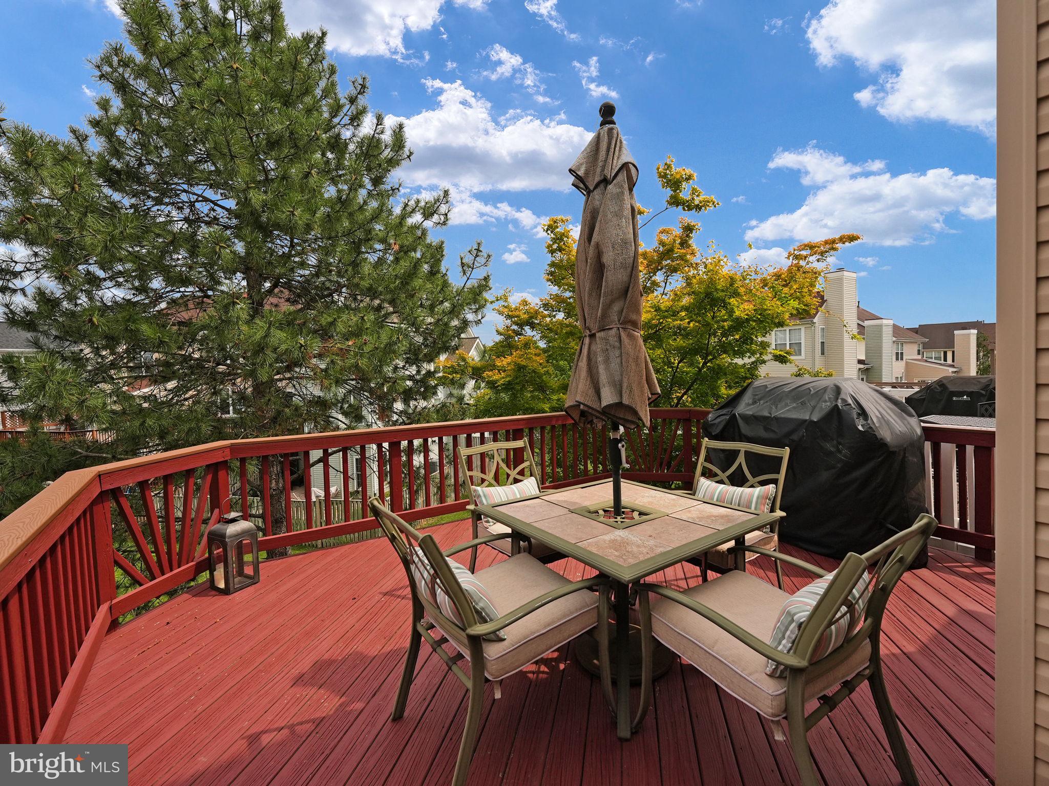 44032 Rising Sun Terrace Ashburn, VA 20147 - Photo 10 of 44 Watch the fireworks from the deck!