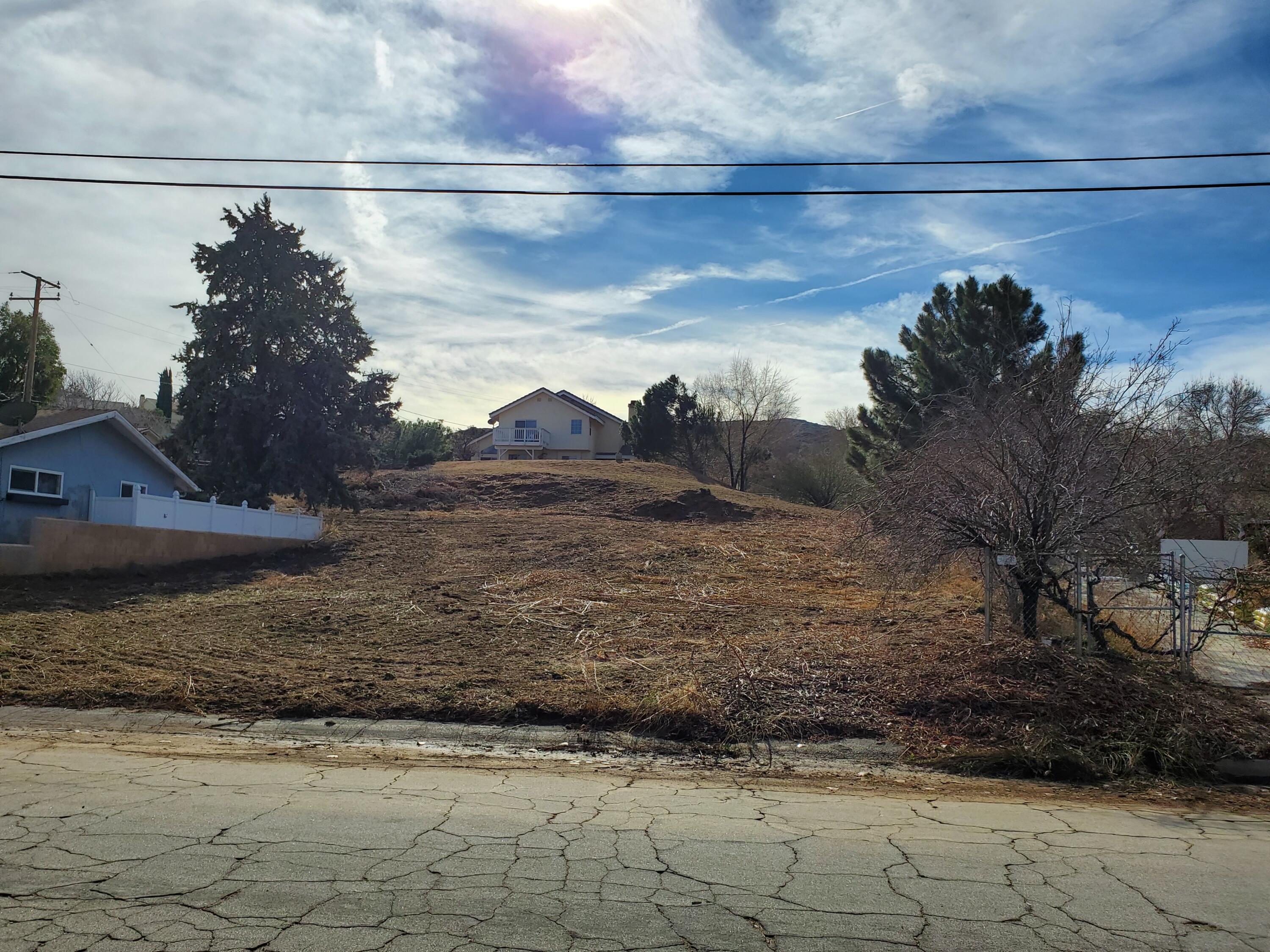 Chippewa Drive Lake Hughes, CA 93532 - Photo 1 of 31 a view of a yard